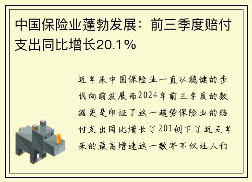 中国保险业蓬勃发展：前三季度赔付支出同比增长20.1%