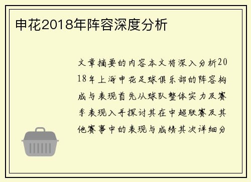 申花2018年阵容深度分析